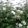 Инна Плиткина - @innaplitkina - TikTok