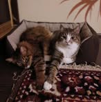 Inna Posternak - Facebook