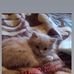 Инна Шахнович - Facebook