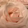 Inna Shapiro325 - @user3844021539235 - TikTok