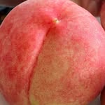 @green_innes - Instagram