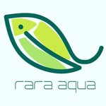 Insoo Kim - @raraaqua_tv - Instagram
