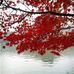 Insook Chang - Facebook