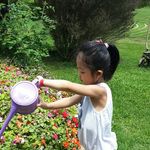 최인숙 - @insookchangchoi - Instagram