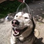 Insung Cho - @insung_cho_ - Instagram