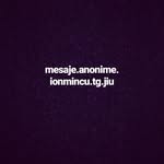 @mesaje.anonime.ionmincu.tg.jiu - Instagram