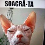 Ion Nicolae - Facebook