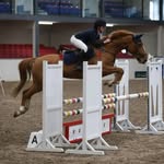 Fiona Brady - @fiona_brady11 - Instagram