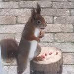 Fiona Carroll - @fiona.carroll.nee.rennie - Instagram