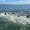 fiona - @fiona.casey - TikTok