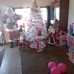 Iona Chaney - @ionachaney - Instagram