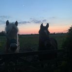 Iona Clarke - Facebook