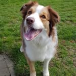 Fiona Dawson - @fiona.dawson.1610 - Instagram