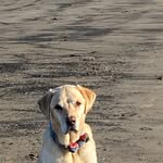 Fiona Dawson - @fiona.dawson.35728 - Instagram