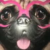 iona dawson - @niceboi2 - TikTok