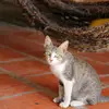 duncan.iona.49784 - @duncan.iona.49784 - TikTok