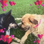 Fiona Dunn - @fiona.dunn74 - Instagram