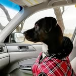 Fiona Ford Ford - @fiona.ford.ford - Instagram