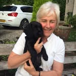 Fiona Gregory - @fionagregory36 - Instagram