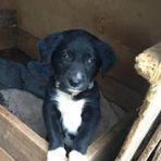 Iona Hamilton - Facebook