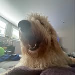 Fiona - @fiona_.hanson - Instagram