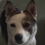 Fiona Hanson - @hanson.fiona - Instagram