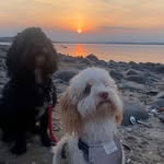 Fiona Hanson - @fiona.hanson6 - Instagram