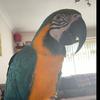 Fiona Heath - @fionaheath - TikTok