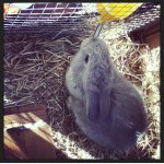 Iona Jackson - @flappydrum1234 - Instagram