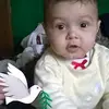Ion Ali - @ion.ali8 - TikTok