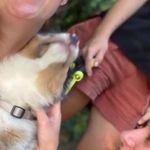 Iona Liu - @iona.liu.568 - Instagram