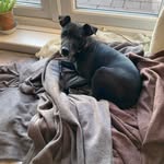 Fiona Lyons - @fionalyons1 - Instagram