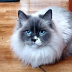 Fiona Lyons - @fiona4506lyons - Instagram