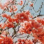 ✨ 𝐼𝑜𝓃𝒶 𝒮𝓊𝓉𝒽𝑒𝓇𝓁𝒶𝓃𝒹 ✨ - @iona._may_priv.x - Instagram