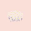 The_Iona_Mccarthy - @the_iona_mccarthy - TikTok
