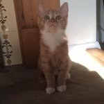 Fiona Moore - @fiona__moore - Instagram