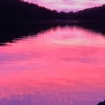 Fiona Parker - @fionaparker7937 - Instagram