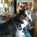 Iona Parker - Facebook
