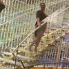 Iona Powell-Dashiell - @iona.powelldashie - TikTok