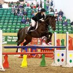 Iona Robinson - @iona.r_equine - Instagram