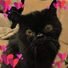 ionashepherdson - @ionashepherdson - TikTok