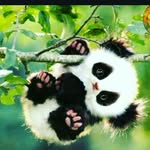 Iona Silva - @iona.silva.1238 - Instagram