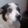 iona_simpson - @iona_simpson2 - TikTok