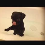 Iona Simpson - @graceismybestfriend007 - Instagram