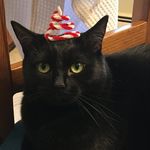 Fiona Stone - @_fiona_stone___ - Instagram