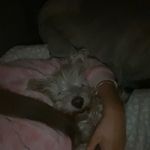 ꨄ𝓘𝓞𝓝𝓐 - @ionastuartxx - Instagram