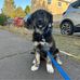 Iona Walker - Facebook