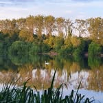 Fiona Walton - @fiona.walton.3760 - Instagram