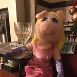 Fiona Webster - @fiona.webster.5 - Instagram