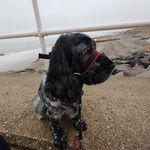 Fiona Whitaker - @fionawhitaker3 - Instagram